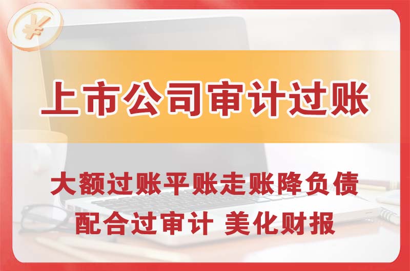 临安上市公司审计过账